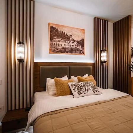 Eliss Studio Sinaia Luaran gambar