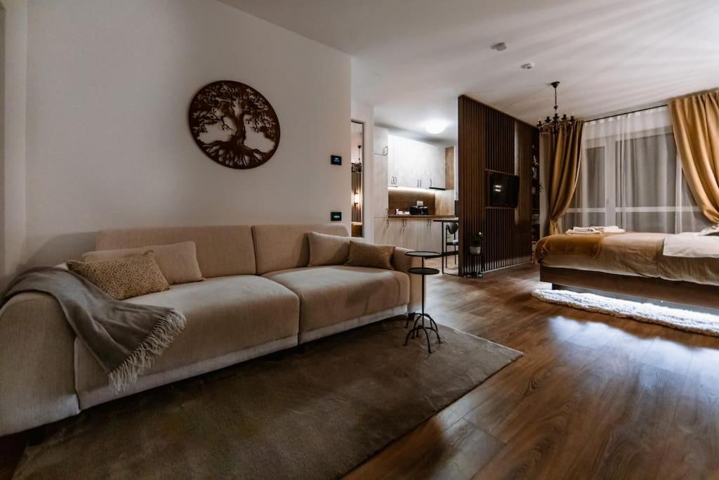 Eliss Studio Sinaia Luaran gambar