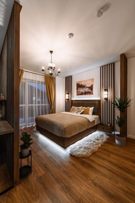 Eliss Studio Sinaia Luaran gambar