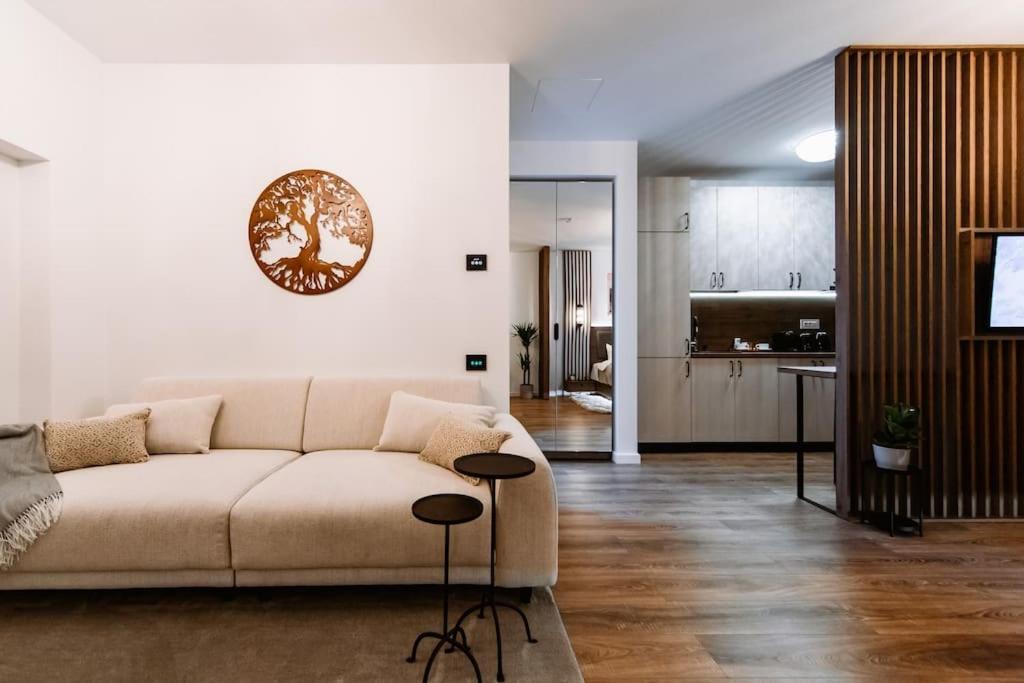 Eliss Studio Sinaia Luaran gambar