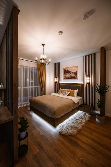 Eliss Studio Sinaia Luaran gambar